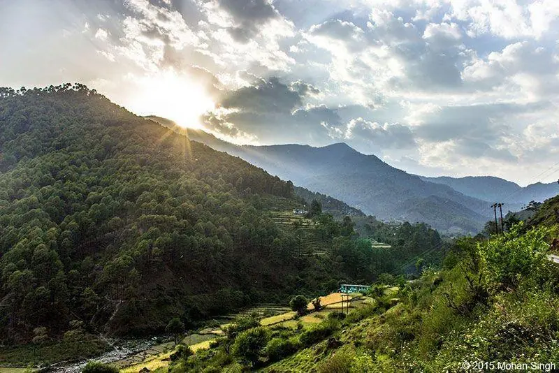 Sunlit forested hills in Uttarakhand