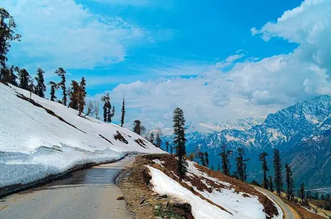 Mountain road through snow and deodar forest in Himachal