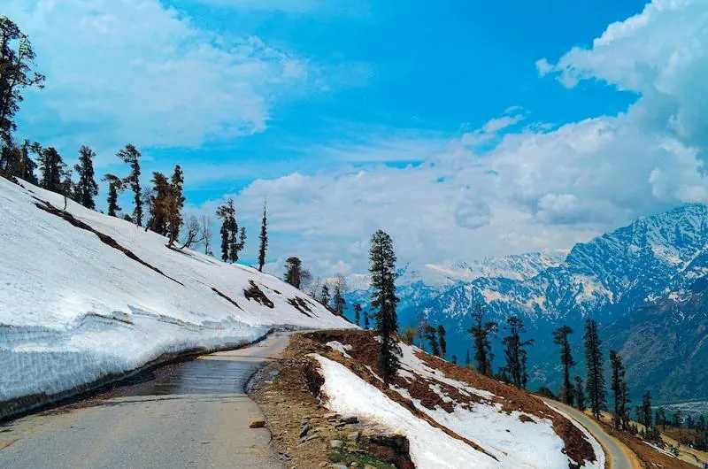 Mountain road through snow and deodar forest in Himachal