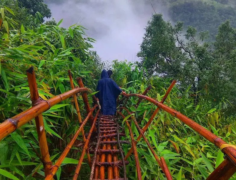 Bamboo trek ladder on a rock face in Meghalaya